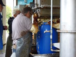 Obsternte Und Maischen 2012 17